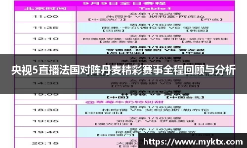央视5直播法国对阵丹麦精彩赛事全程回顾与分析